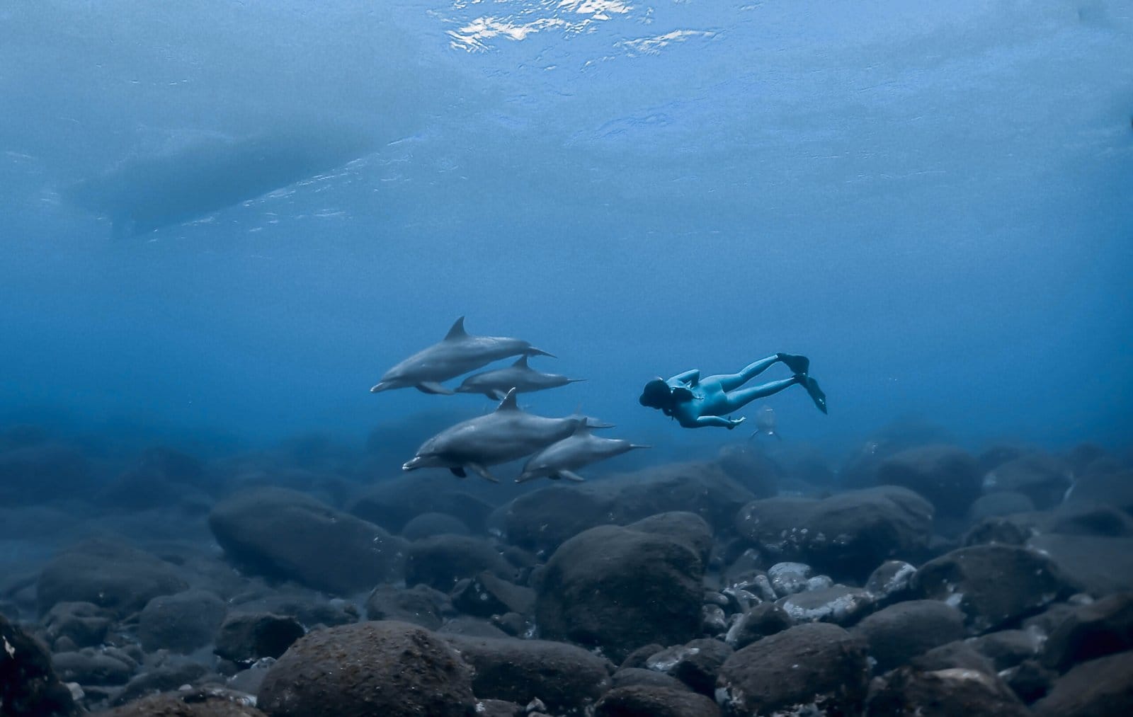 FIISH Freediving